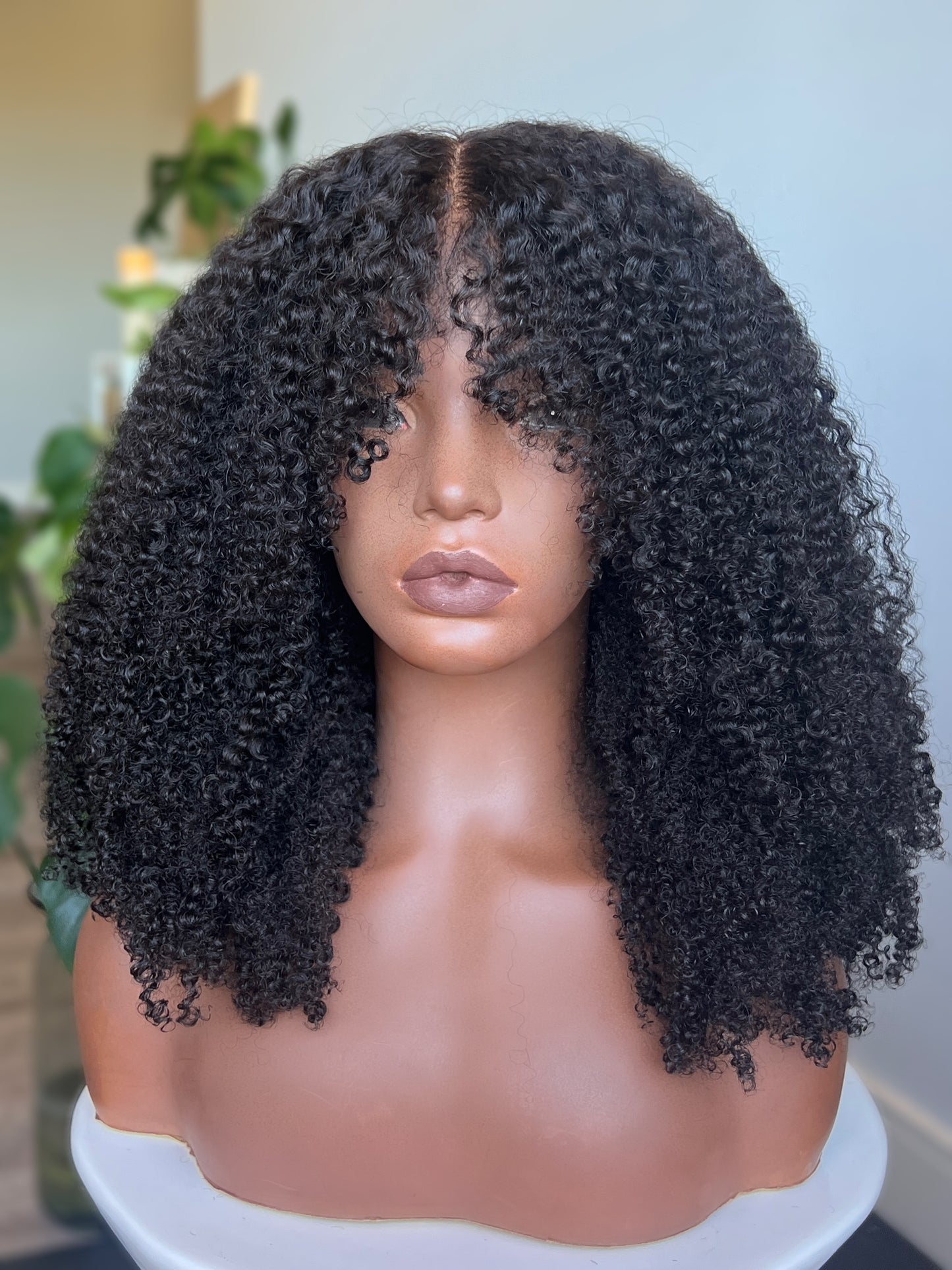 "INDU" 13*5.5" HD Contour Lace Front Wig